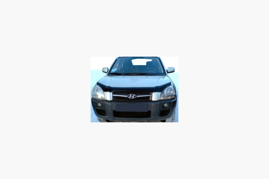 Hyundai Tucson JM 2004– Deflektor kapoty (SIM) Image