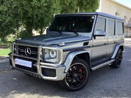 Mercedes G-Class W463 1990–2018 Přední ochranný rám (AMG) fotografie 1