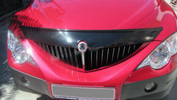 SsangYong Action 2005–2018 Deflektor kapoty (Korea) fotografie 1