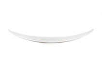 Mercedes C-Class W205 2014–2021 Spoiler OmsaLine (k lakování) fotografie 2