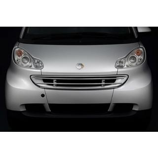 Přední ochranná mřížka Smart 2007–2014 fotografie 1