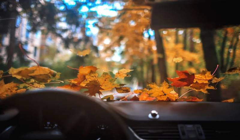 Jak připravit auto na podzim
