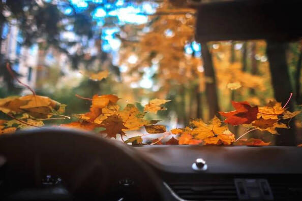 Jak připravit auto na podzim