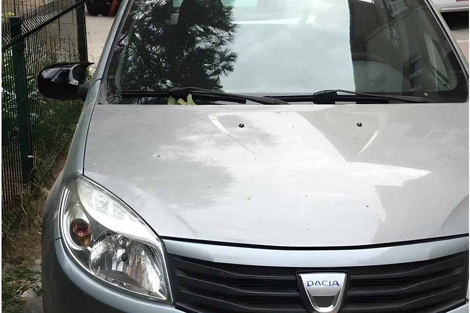 Dacia Logan I 2008–2012 Kryty zrcátek BMW-Style (2 ks) Fotografie 2
