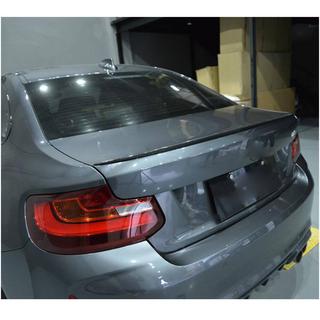 Spoiler M2 Style (pro F22, karbon) fotografie 3