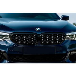 Ledvinky Diamond Silver V1 (2017-2020, černý rámeček) BMW řada 5 G30/G31 2017–2023 fotografie 1