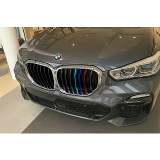Ledvinky 1 Bar (2019-2022, M-Color s chromovým rámečkem) BMW X5 G05 2019–2026 fotografie 1