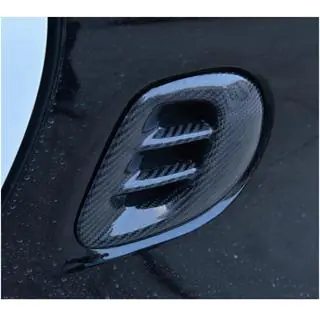 Kryt zadního blatníku (pro fortwo, karbon) fotografie 2