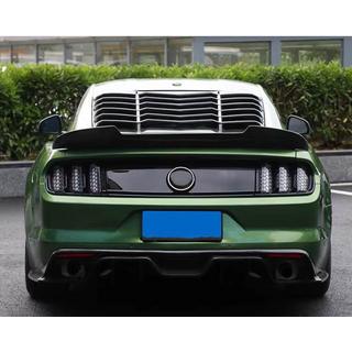Spoiler V7 (karbon) fotografie 4