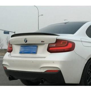 Spoiler P-Style (pro F22, k lakování) fotografie 1