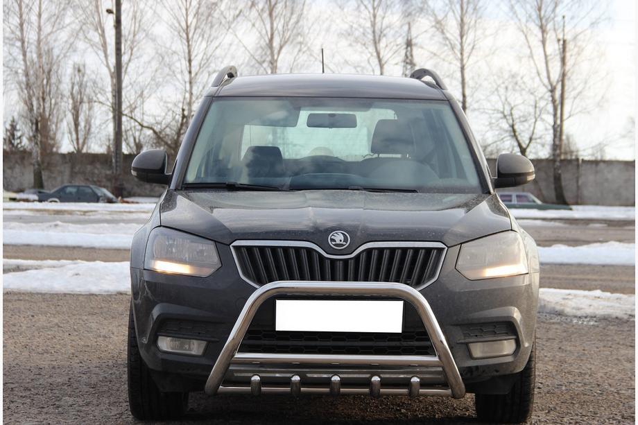 Skoda Yeti 2009–2017 Přední ochranný rám WT003 (nerez) Image