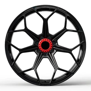 Kované disky OEM R20/R21 V10 (sada 4 ks) fotografie 1