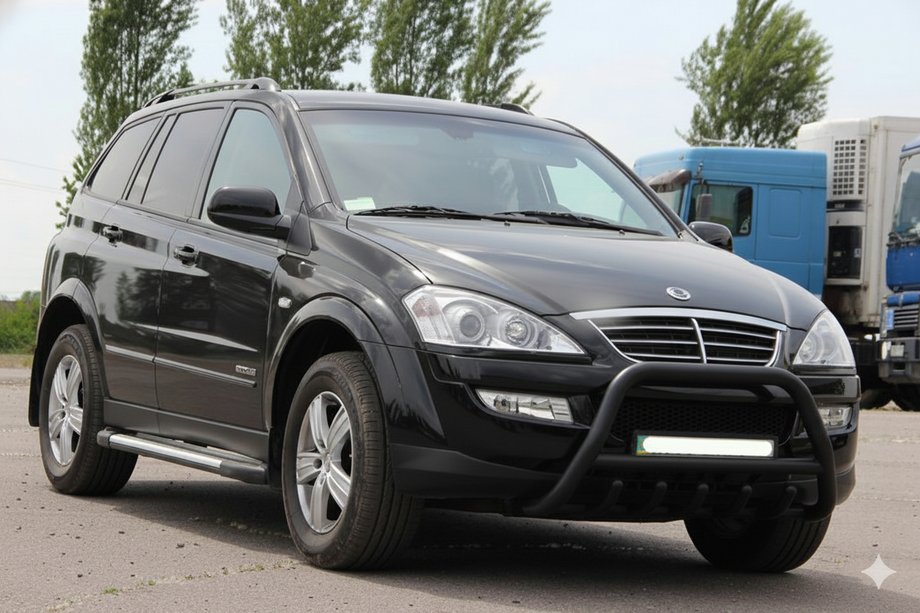 SsangYong Action 2005–2018 Přední ochranný rám WT003 Black (nerez) Image