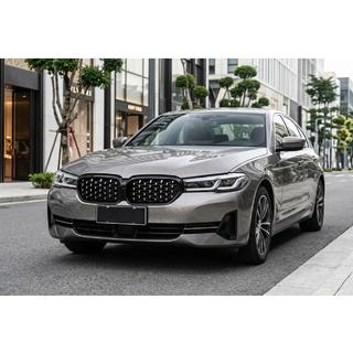 Ledvinky Diamond Silver (2021-2023) BMW řada 5 G30/G31 2017–2023 fotografie 1