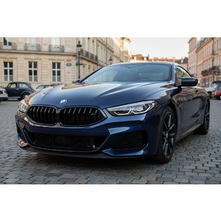 Ledvinky 1-Bar (2018-2022, černý lesk) BMW řada 8 G14/G15/G16 2018– fotografie 1