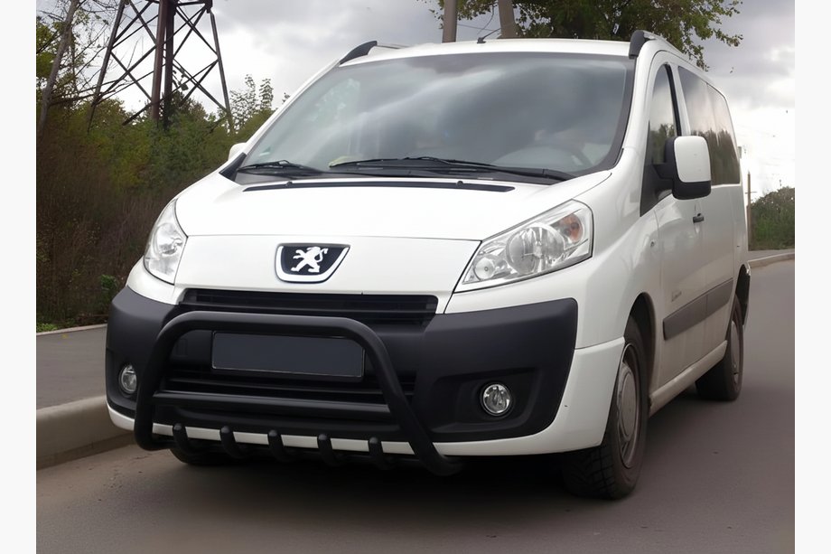 Peugeot Expert 2007–2016 Přední ochranný rám WT003 Black (nerez) Image