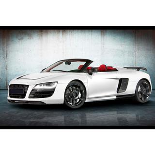 Sada bodykitu MNSR Carbon (pro Spyder) fotografie 3