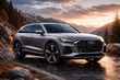 Audi Q9: auto z budoucnosti fotografie 1