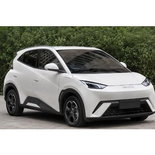 Strešní relingy šedé OEM (ABS plast, montáž lepením) BYD Dolphin 2025–