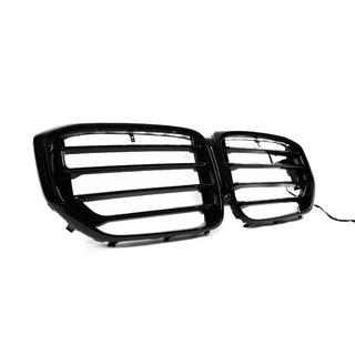 Ledvinky X5M F95 Design LED (2023+) BMW X5 G05 2019–2026 fotografie 3