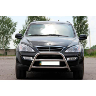 Bullbar WT022 (nerez) fotografie 2