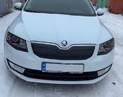 Skoda Octavia III A7 2013–2019 Zimní clona na masku chladiče (2013-2017) lesklý fotografie 2