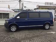 Volkswagen T5 2010–2015 Lišty na dveře (nerez, chrom) fotografie 4