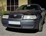 Skoda Octavia I Tour A4 1996–2010 Zimní clona chladiče (horní) fotografie 3