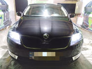 Skoda Rapid 2012–2019 Zimní clona chladiče (horní) Matná fotografie 1