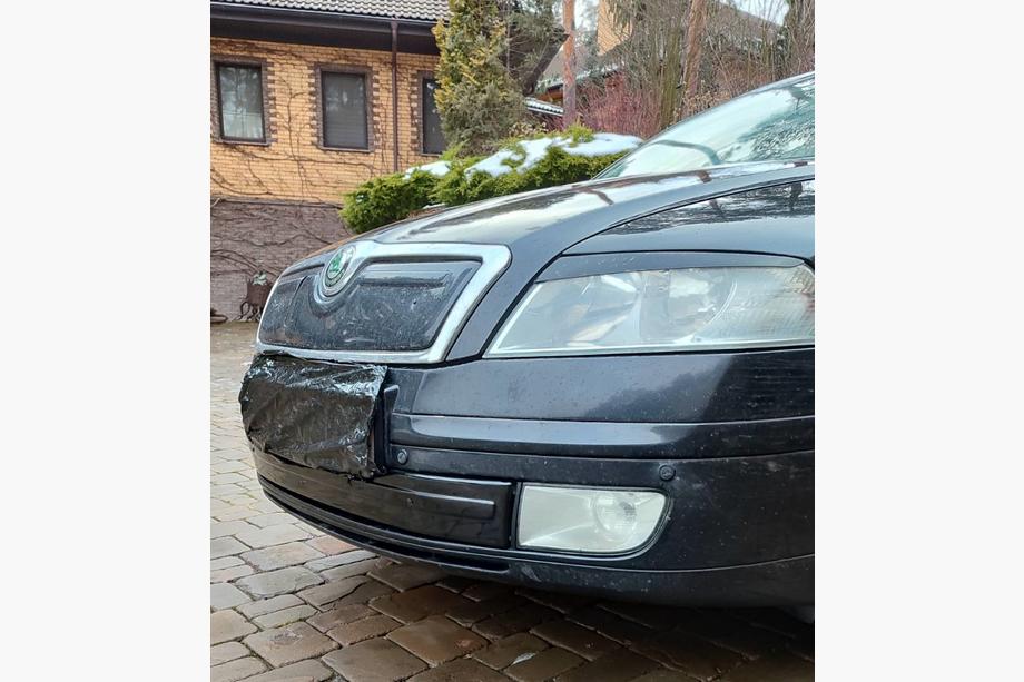 Skoda Octavia II A5 2006–2010 Zimní clona do spodní mřížky chladiče Fotografie 2