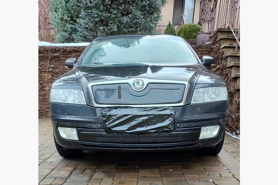 Skoda Octavia II A5 2006–2010 Zimní clona do spodní mřížky chladiče Image