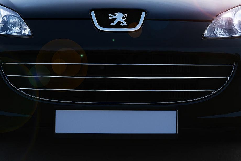Peugeot 407 2004–2011 Nerezové lišty na masku chladiče (3 ks) Image