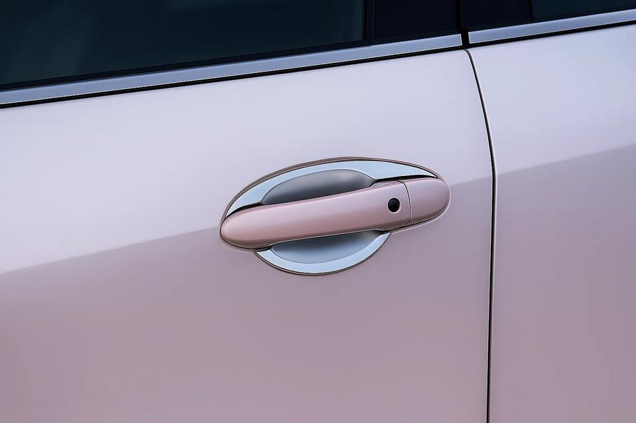 Mazda 6 2008–2012 Mýdelníčky s okvětními lístky (4 ks, plast) Image