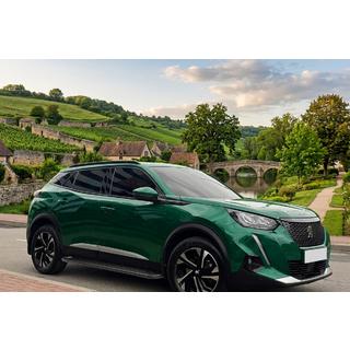Boční nášlapy Allmond Black (2 ks, hliník) Peugeot 3008 2016–2023 fotografie 1