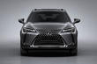 Kompaktní crossover Lexus UX 200 fotografie 8