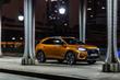 Recenze prémiového crossoveru DS 7 Crossback fotografie 3