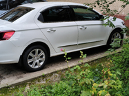 Peugeot 301 2012– Nerezové okenní lišty fotografie 1