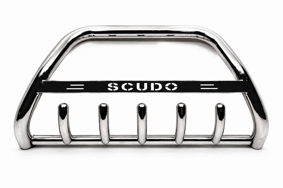 Fiat Scudo 1996–2007 Přední ochranný rám (bullbar) WT004 (nerez) Image