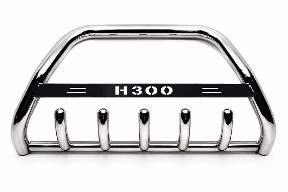 Hyundai H300, H1, Starex 2008–2020 Přední ochranný rám (bullbar) WT004 (nerez) Fotografie 2