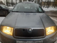 Skoda Fabia 2000–2007 Zimní clona chladiče fotografie 1