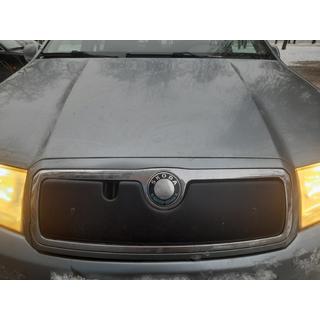 Zimní clona chladiče Skoda Fabia 2000–2007 fotografie 2