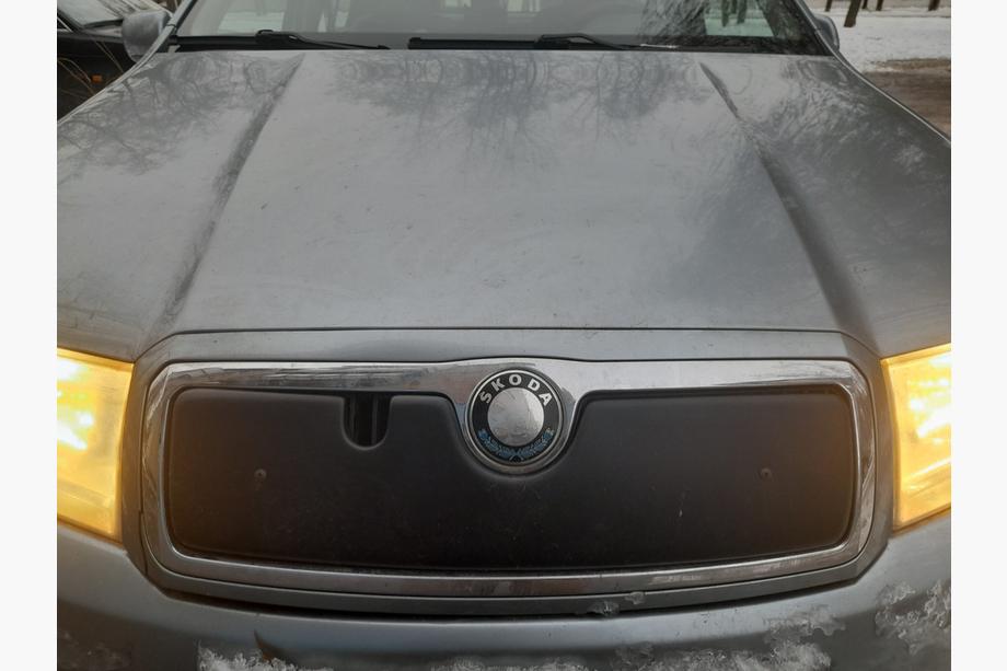 Skoda Fabia 2000–2007 Zimní clona chladiče Lesklá Fotografie 2