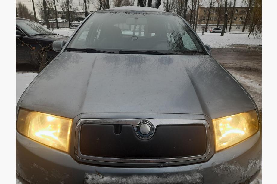 Skoda Fabia 2000–2007 Zimní clona chladiče Image
