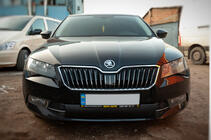 Skoda Superb 2015–2024 Zimní clona do masky chladiče (2015-2019, spodní) Lesklá fotografie 1