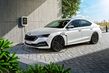 Recenze modelového roku 2020: Skoda Octavia fotografie 4