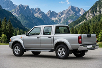 Nissan NP300 1999–2015 Boční prahy New Vision Grey (2 ks., hliník) fotografie 1