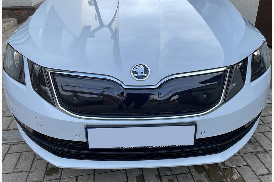 Skoda Octavia III A7 2013–2019 Zimní clona chladiče (2017-2020) matná Image