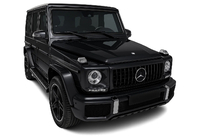 Mercedes G-Class W463 1990–2018 Přední maska chladiče (GT Panamericana, bez chromu) fotografie 4