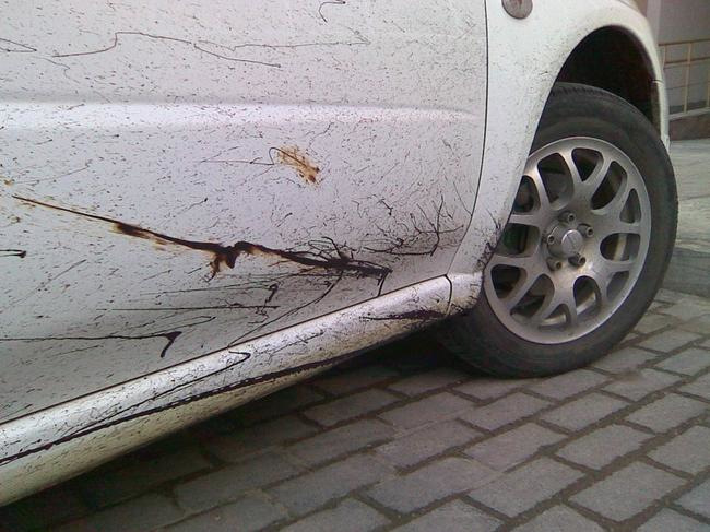 Jak odstranit z auta bitumen?
