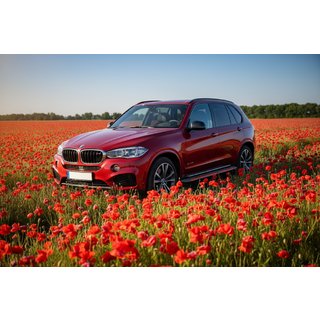 Boční prahy Maya Red (2 ks, hliník) BMW X5 F15 2013–2018 fotografie 1